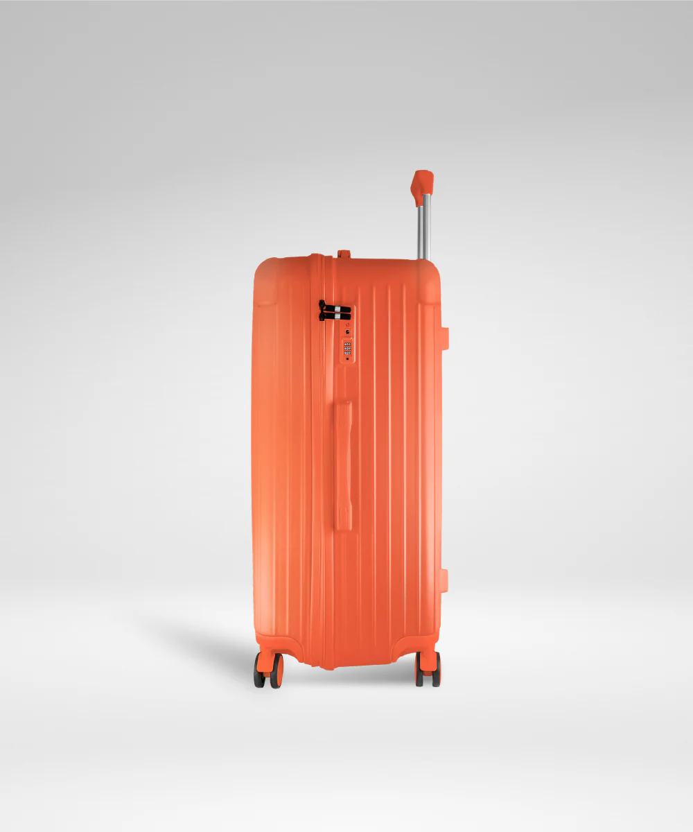 Terminal Trunk - Image 40
