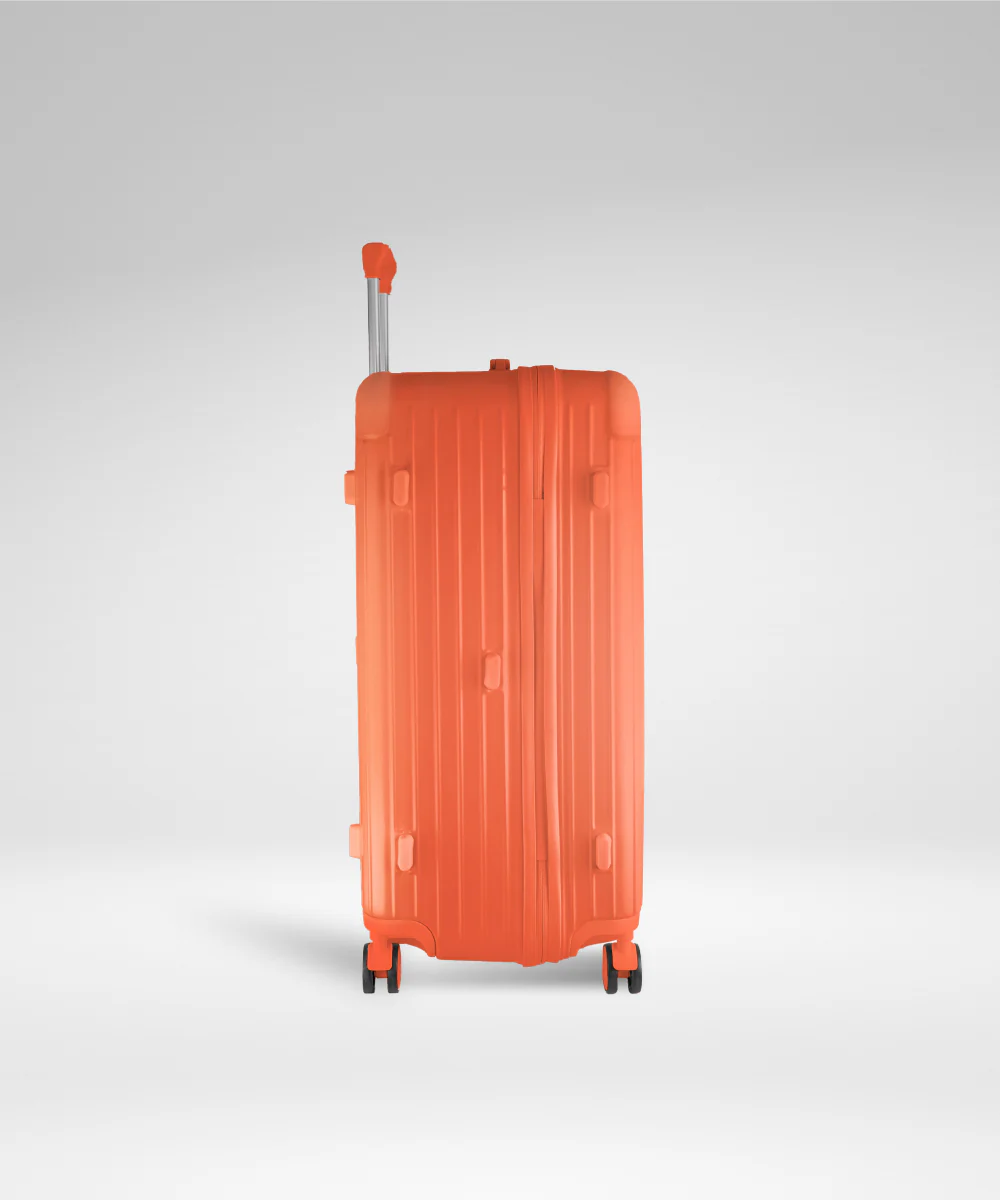 Terminal Trunk - 24" + 30" - Image 45